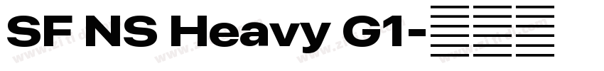 SF NS Heavy G1字体转换 SF NS Heavy G1字体转换